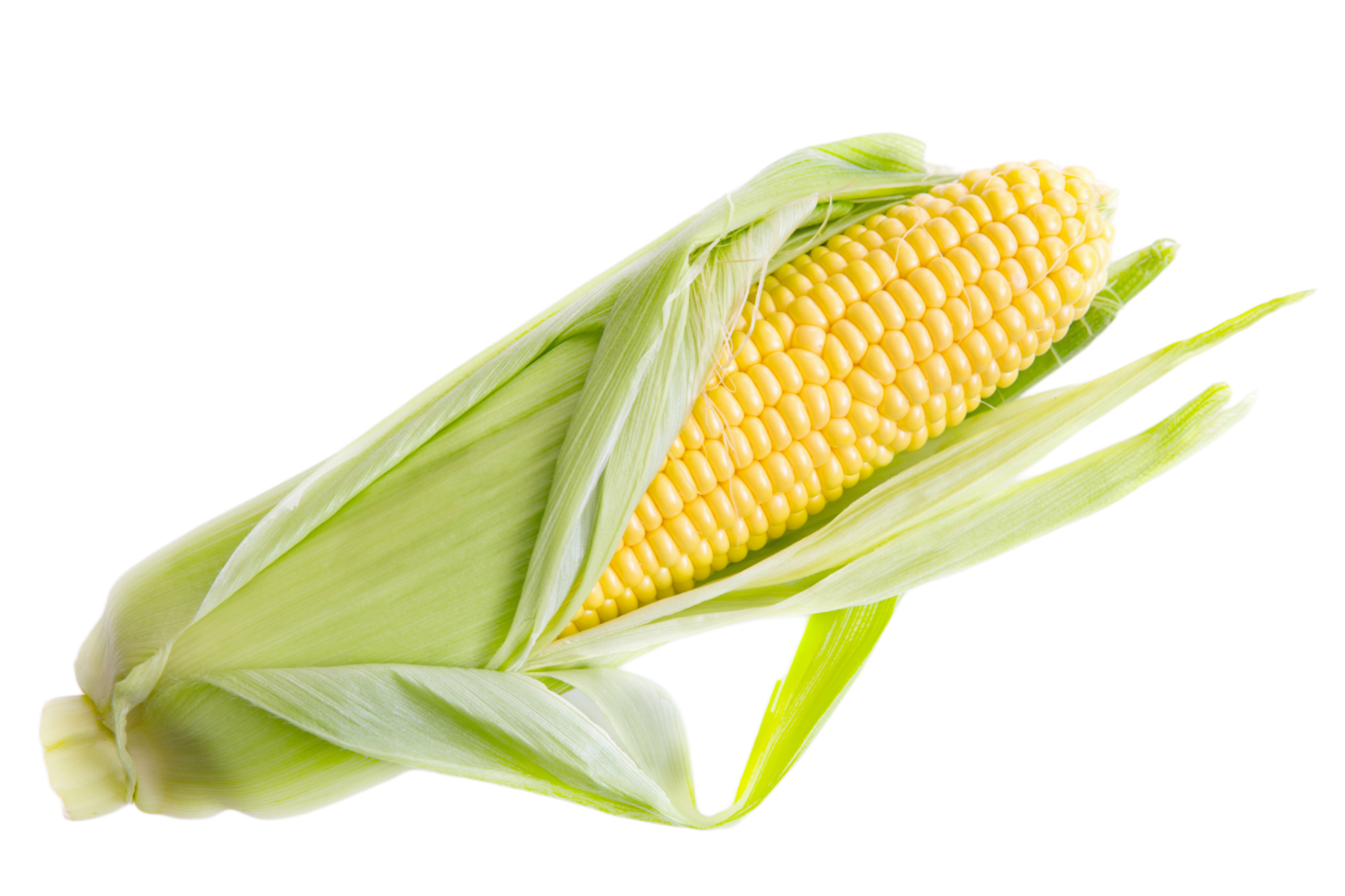 Corn Cob