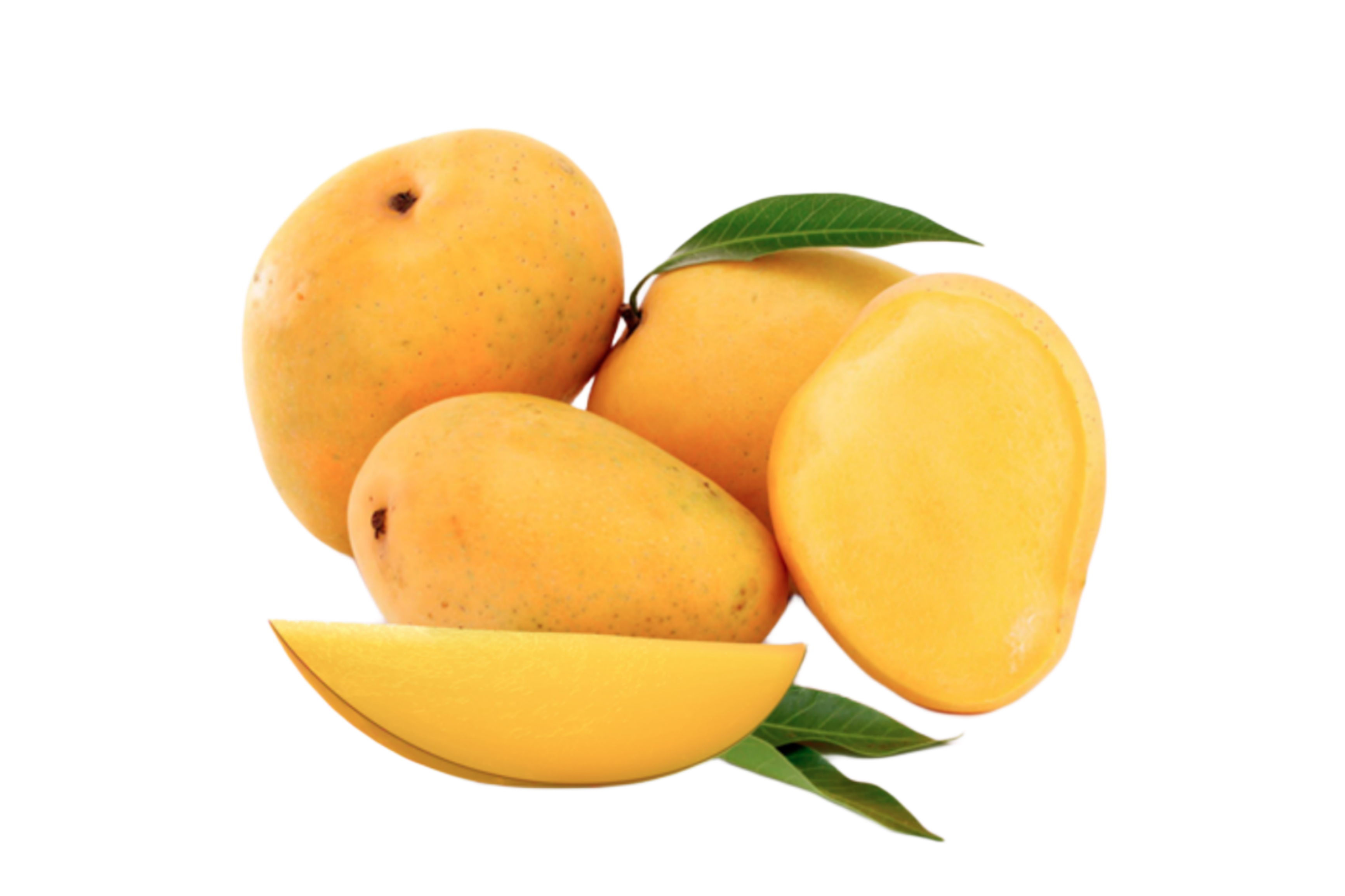 Alphonso Mango