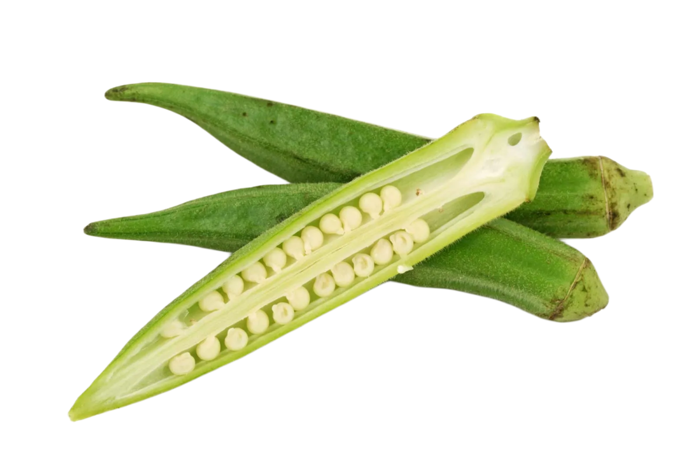 Okra