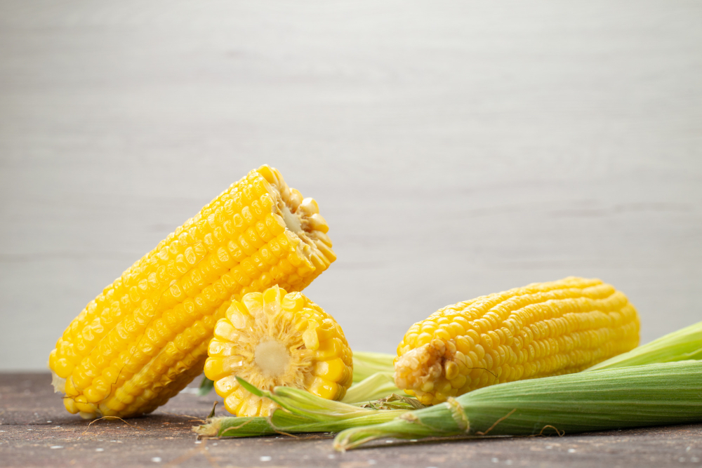 Sweet Corn Cob