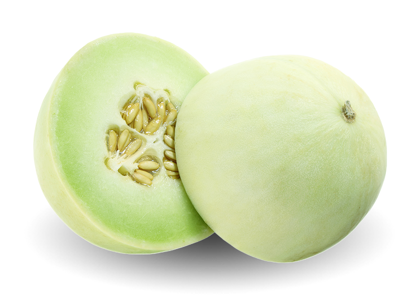 Honeydew Melon
