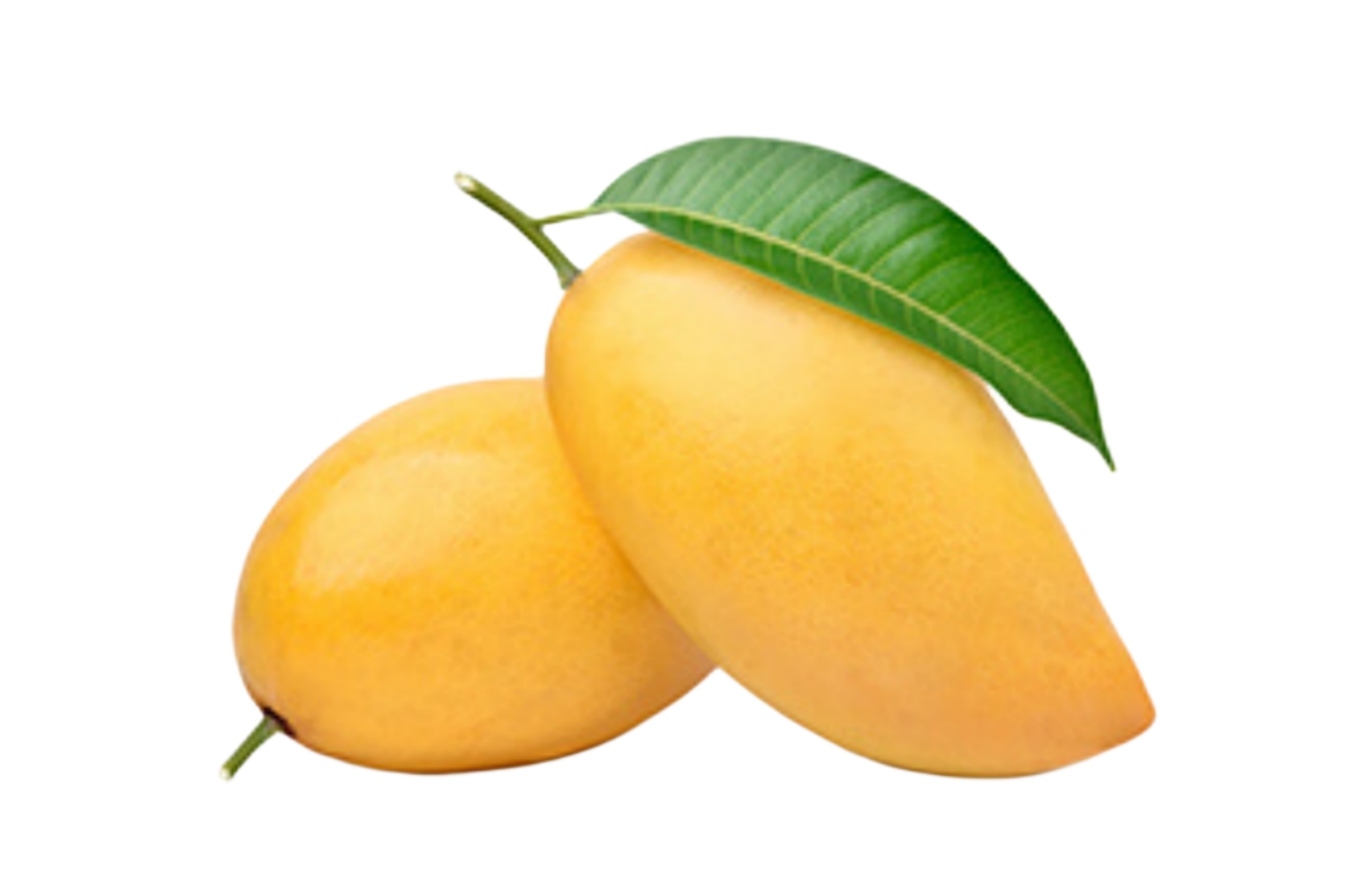 Totapuri Mango