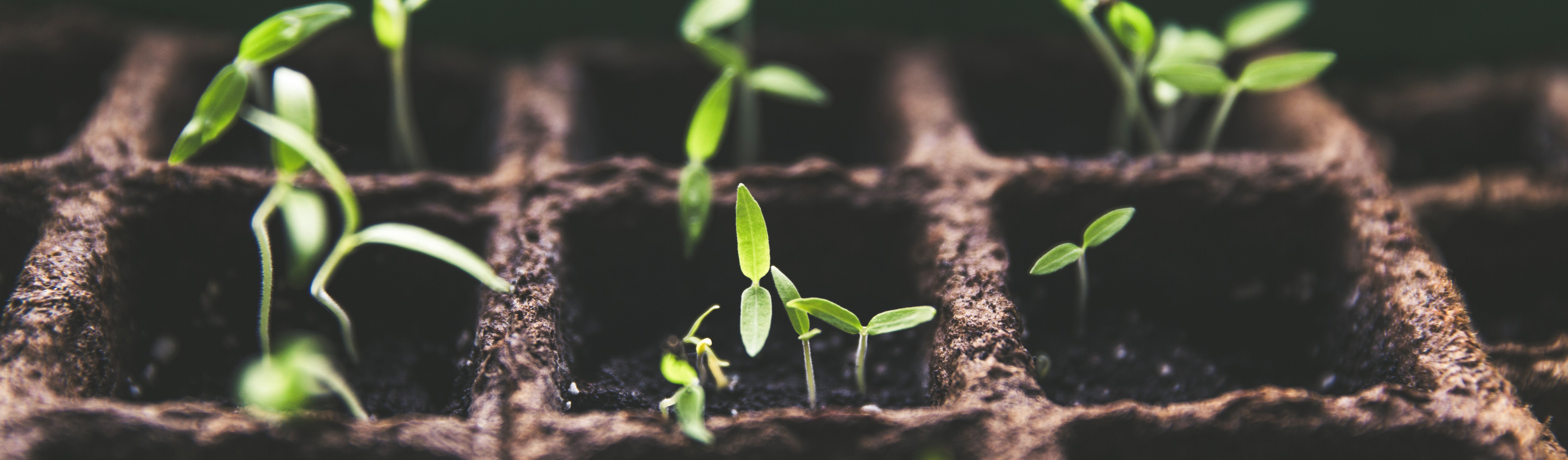 Floating Illustration