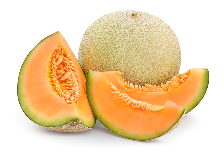 Cantaloupe Melon