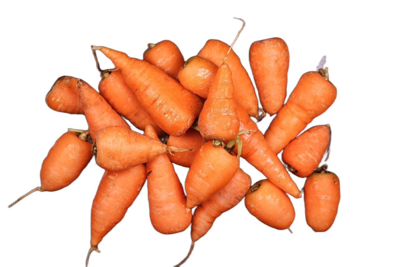 Carrot
