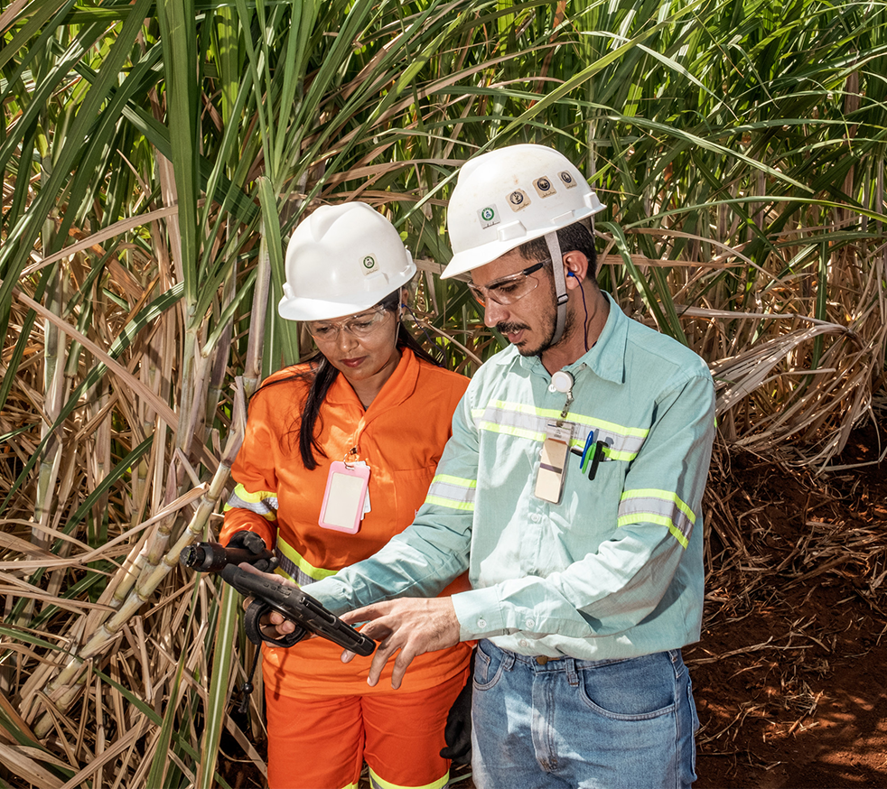 bp bioenergy biofuels business in Brazil