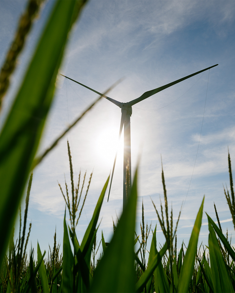 Fowler Ridge wind farm in Indiana, US