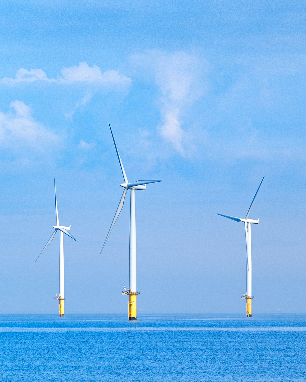 An offshore wind farm