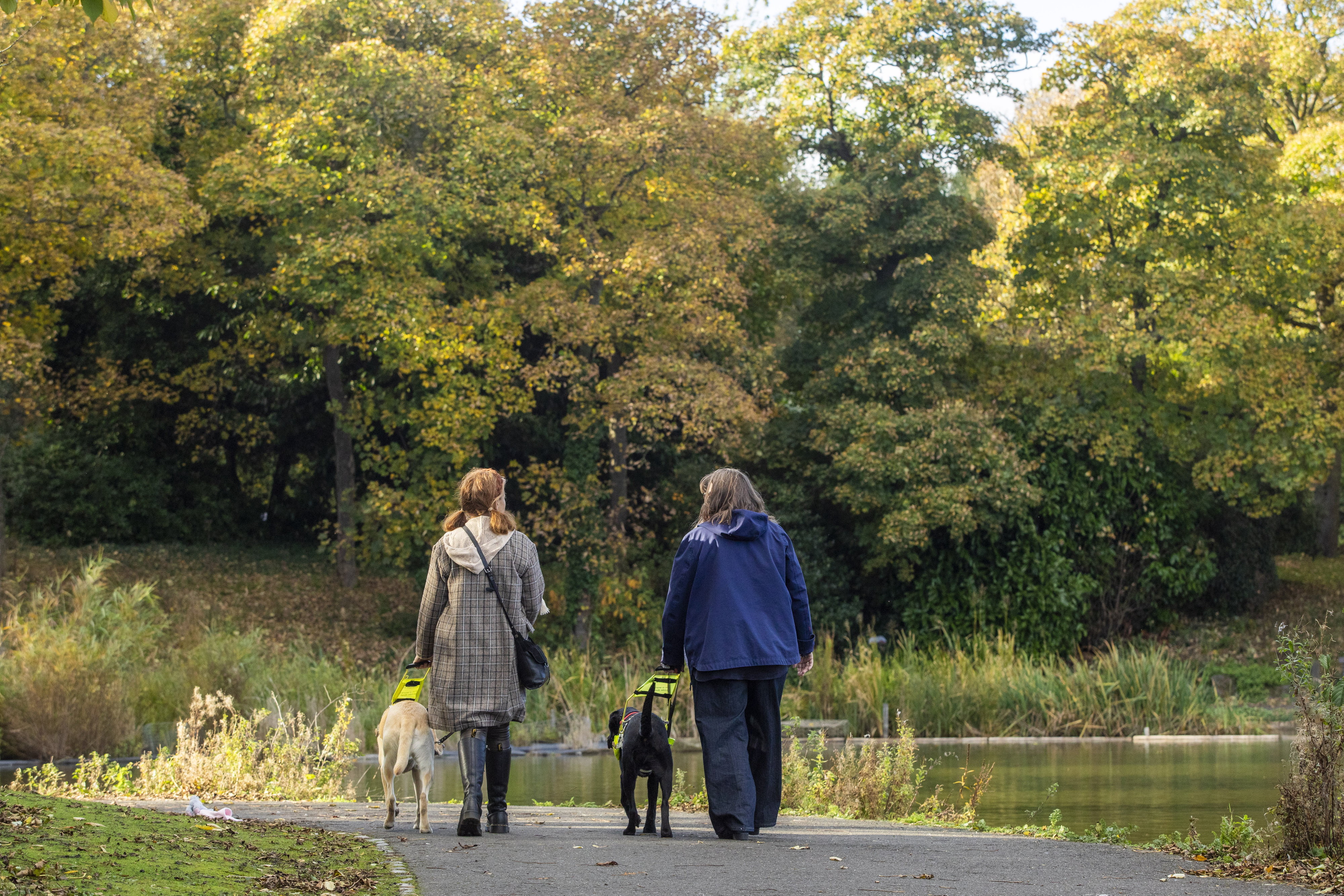 Heather and Lesley walk away from the camera through a wooded area on an autumn day, alongside a lake in a park