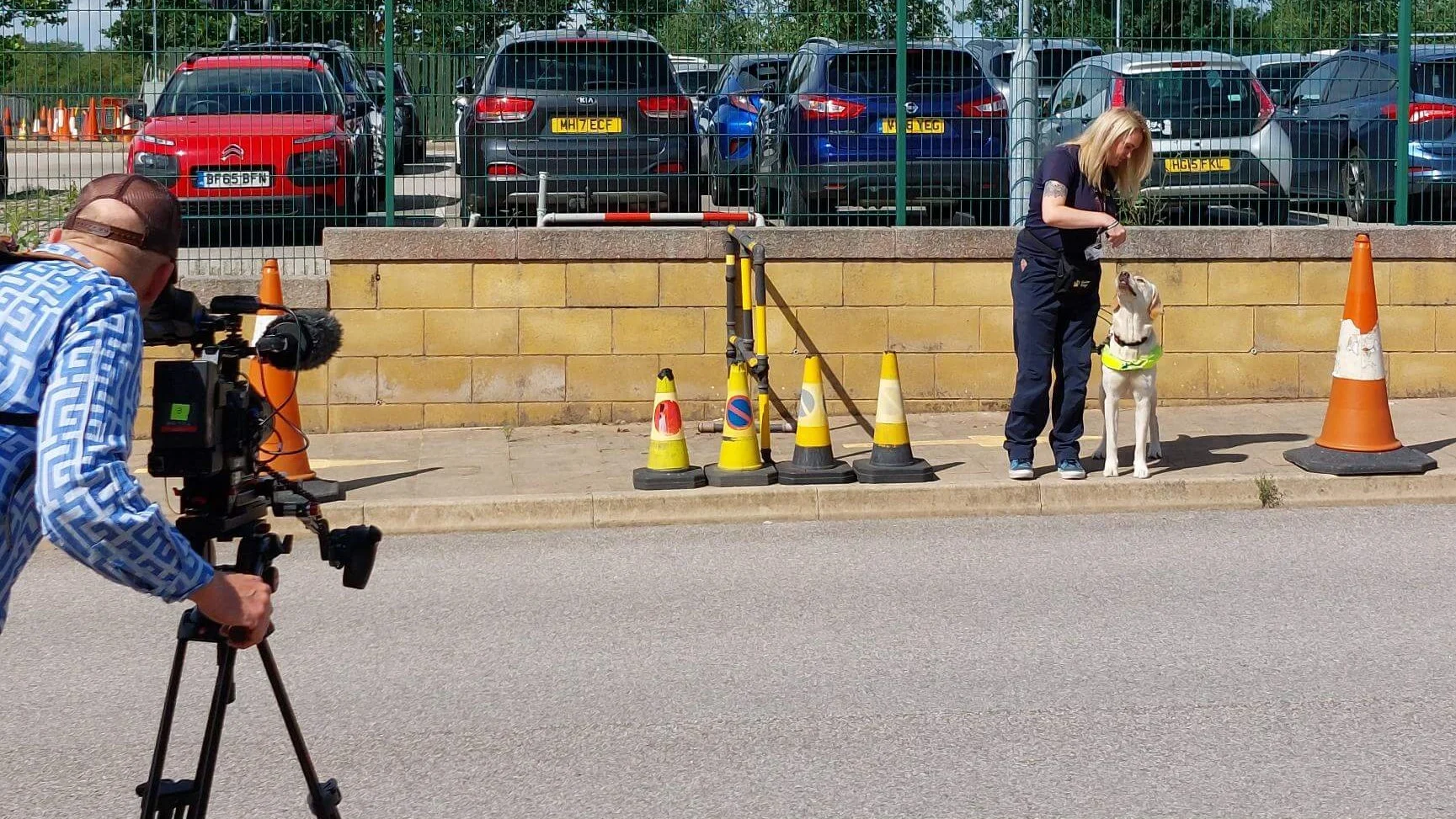 Trainer Carly Kempster stands with yellow Labrador Leider on a pavement at the Atherton training centre. They are filmed by a cameraman.