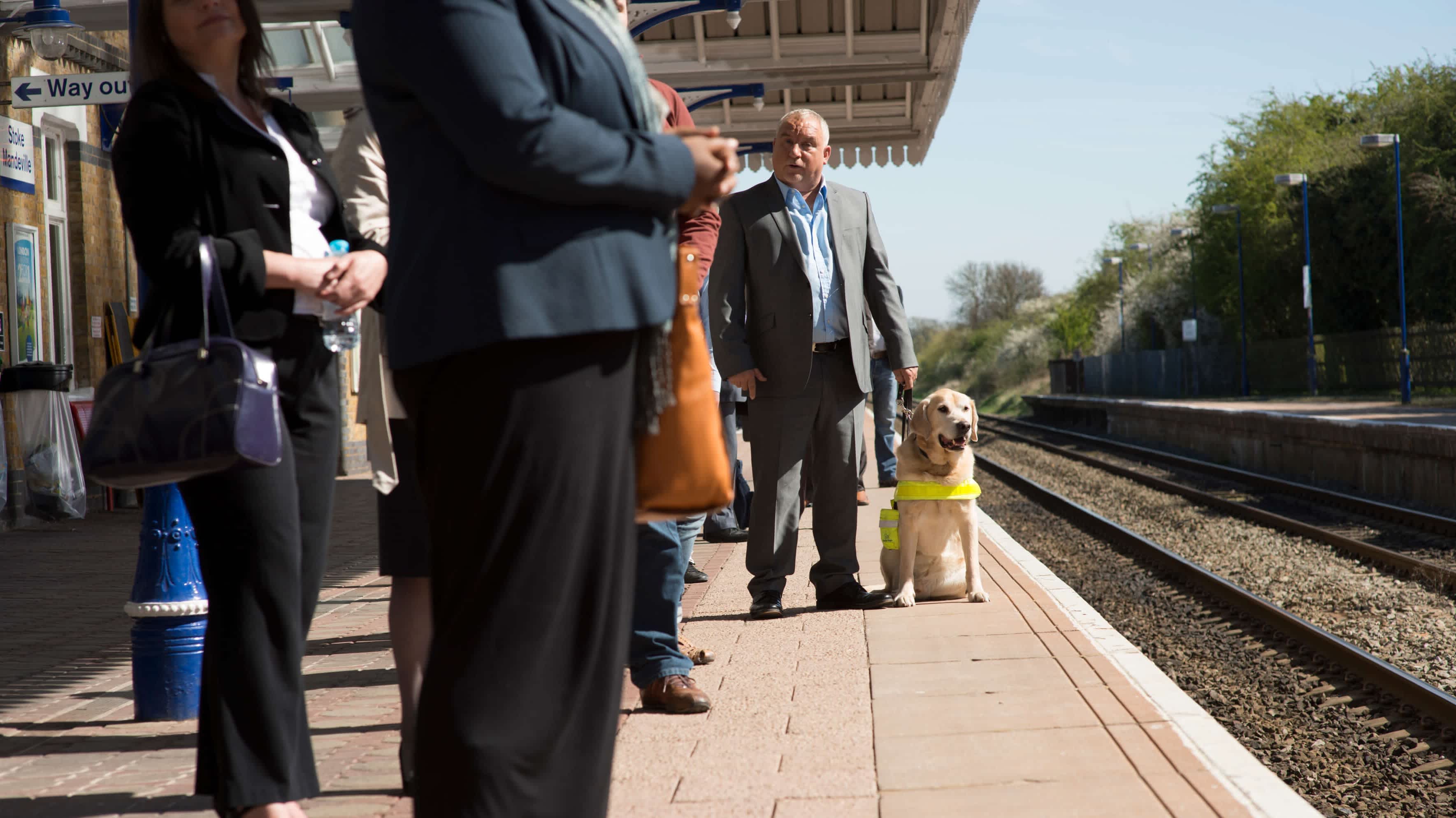 A yellow guide dog sat on a train station platform, next to a male owner wearing a suit. They are surrounded by other train passengers.
