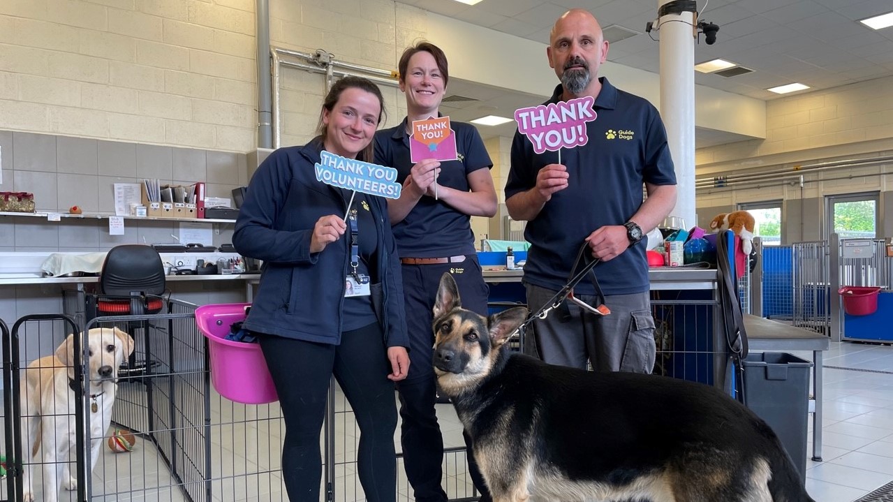 Three members of Guide Dogs' staff in Forfar, Scotland, hold up signs reading 'thank you' over Volunteers' Week.  They are pictured with two guide dogs in training who are looking towards the camera.   