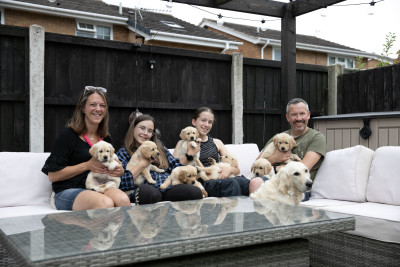 The Saunders family sit on a garden sofa with seven puppies on their laps and guide dog mum Ela in front.