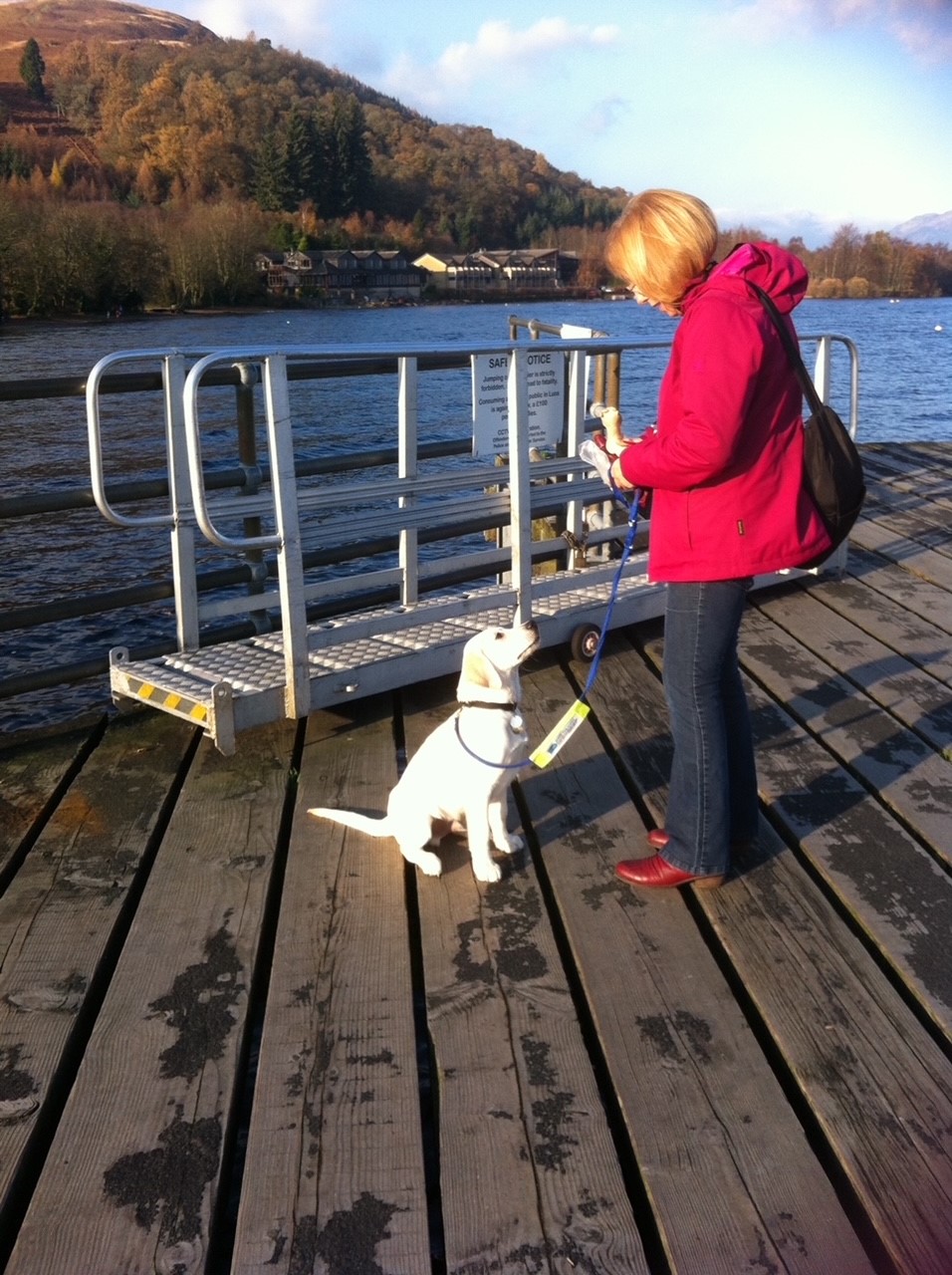 A yellow labrador puppy sits on a wooden dock beside a lake in front of mountains. He has a guide dogs lead on and he looks up at his puppy raiser who is wearing a bright pink coat.