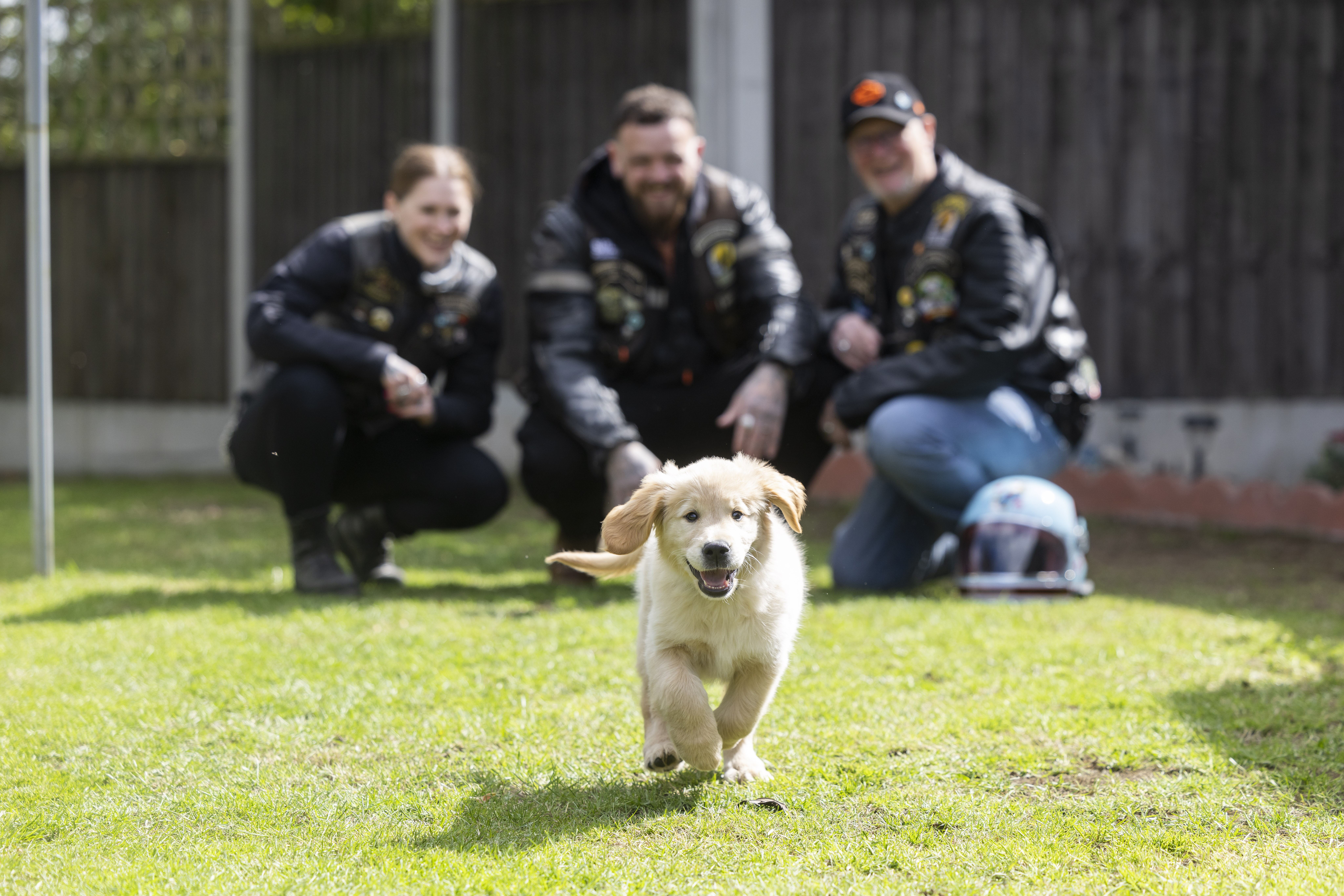 A puppy runs towards the camera in the foreground and in the background three motorbikers wearing leathers crouch down watching him.