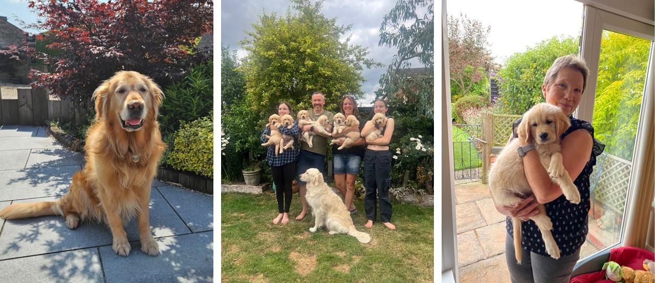 From left to right: guide dog dad, Zebedee; the Saunders family with guide dog mum, Ela and and her litter of puppies; Trudie with guide dog puppy, George. 