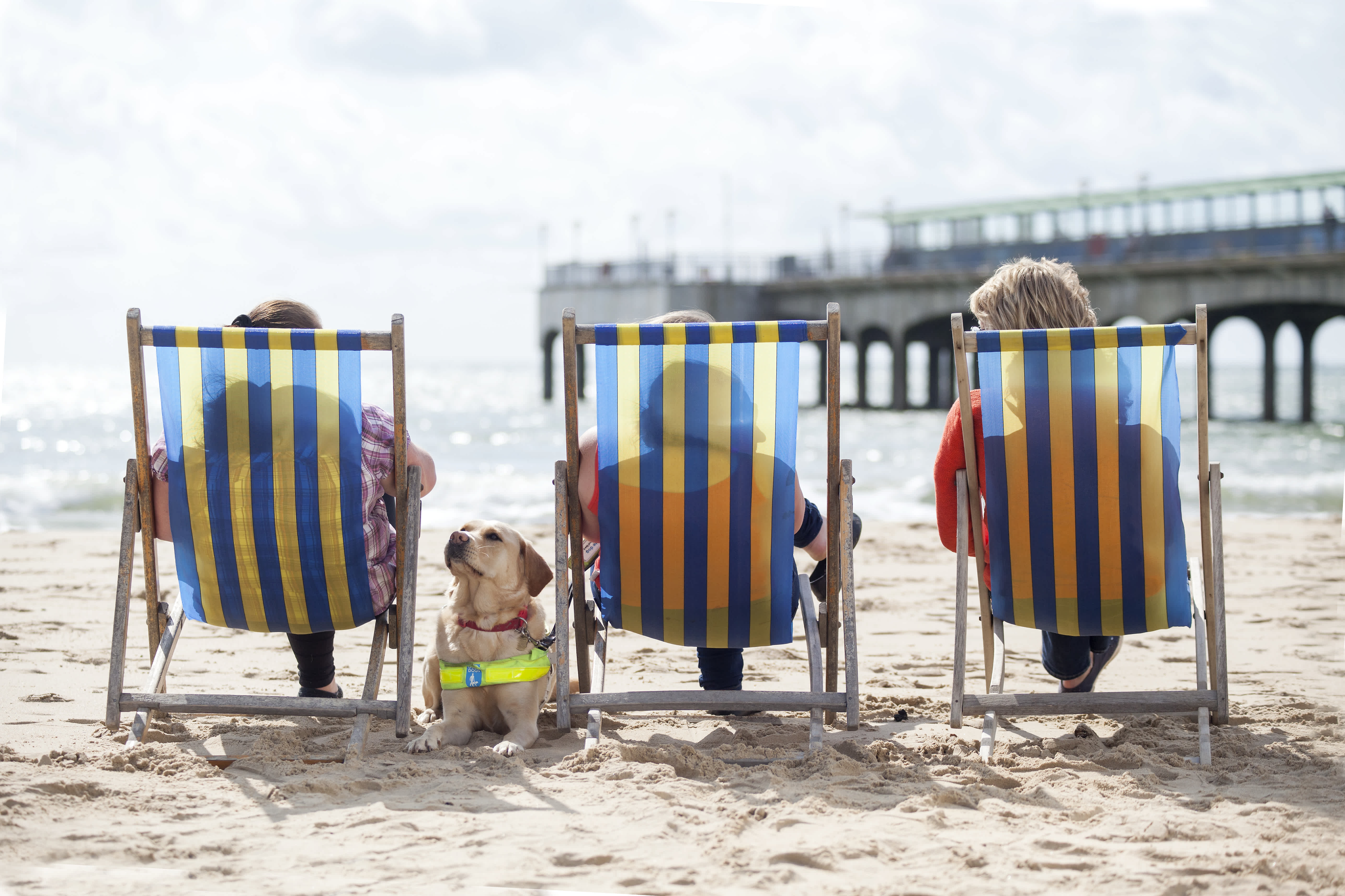 Guide dog sits in between three deckchairs lined up on a sandy beach. The deckchairs are facing away from the camera towards the sea and a pier while the guide dog is lying down and facing towards the camera, looking at the person in the deckchair on the left. 