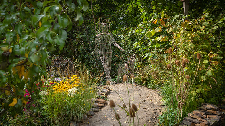 Guide Dogs' garden at the Chelsea Flower Show