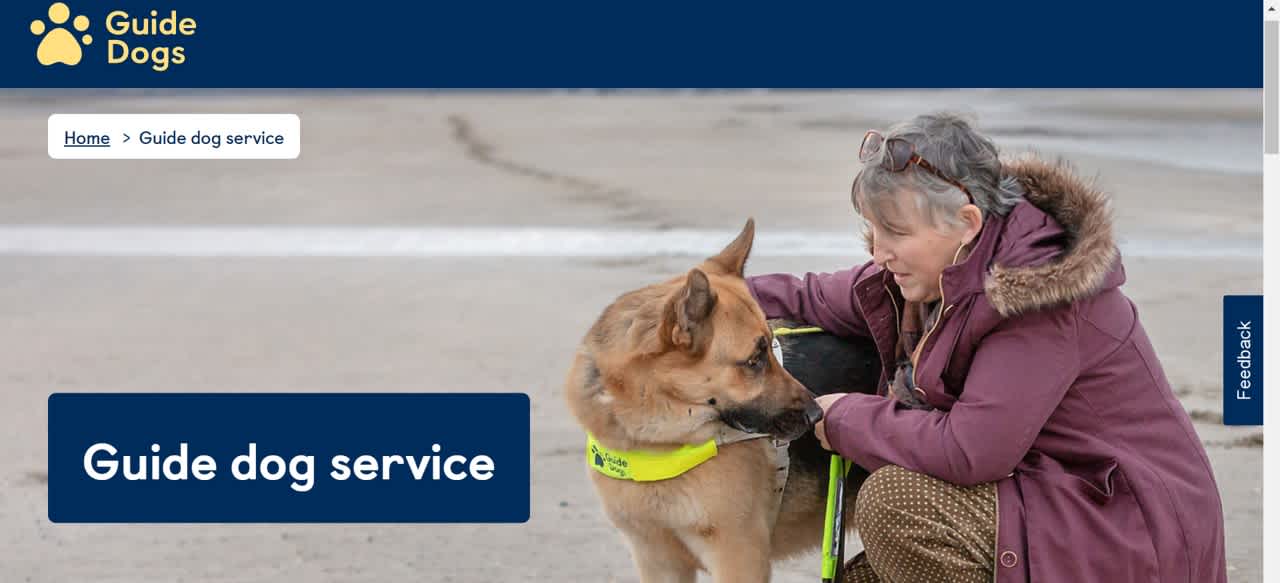 Screenshot of the Guide Dog Service online resource