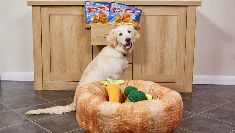 Guide dog puppy Bessie sat behind an Aunt Bessie's Yorkshire pudding bed in front of a draw containing Yorkshire puddings