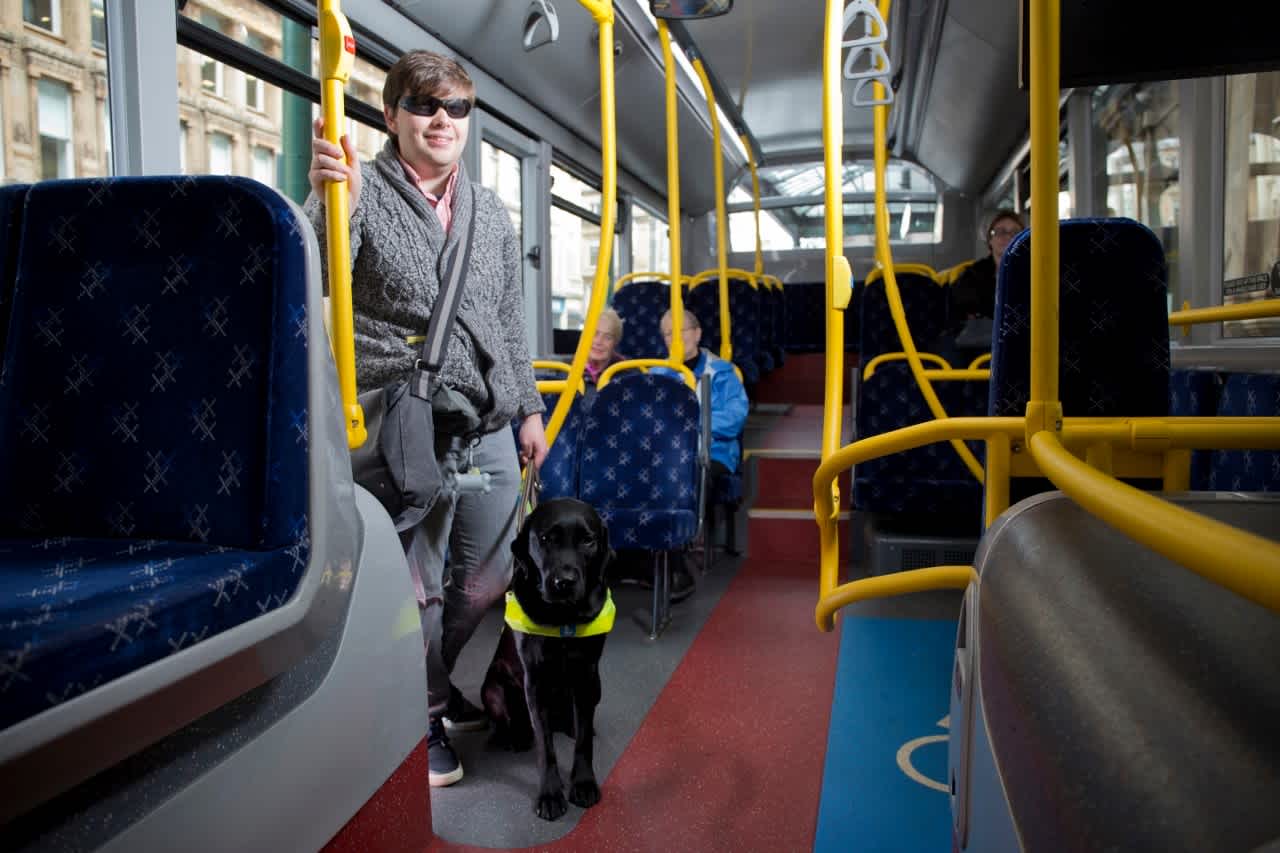 A guide dog owner stands on a bus next to their guide dog in harness 