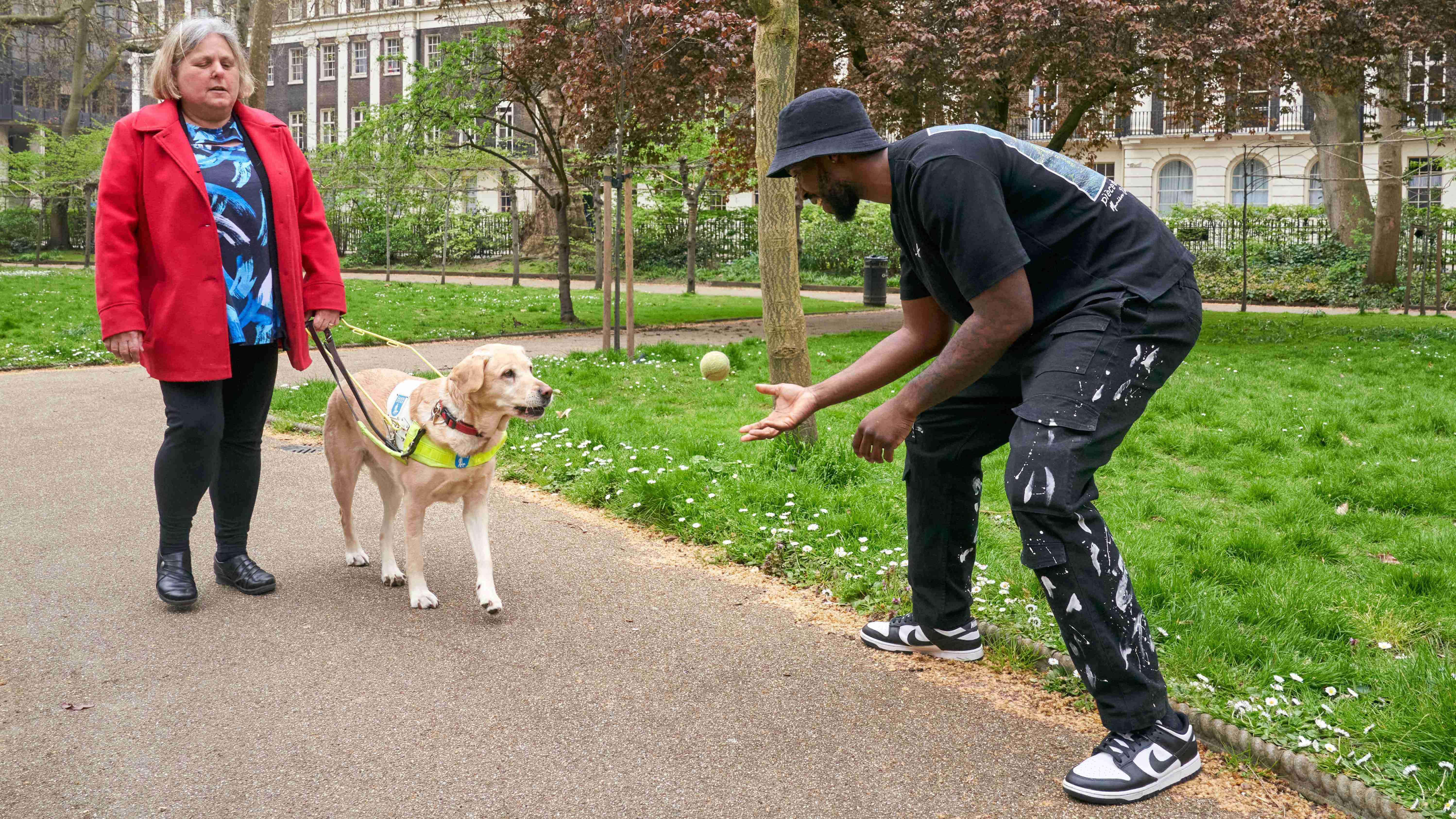 A yellow Labrador guide dog walks with her owner in a London park. The dog is distracted by man throwing a tennis ball up in the air and looking at the dog smiling.  