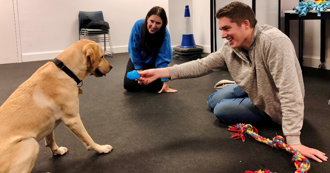 A smiling man sits on the floor and offers a toy to a yellow labrador. Behind them, a woman observes their interaction and smiles.