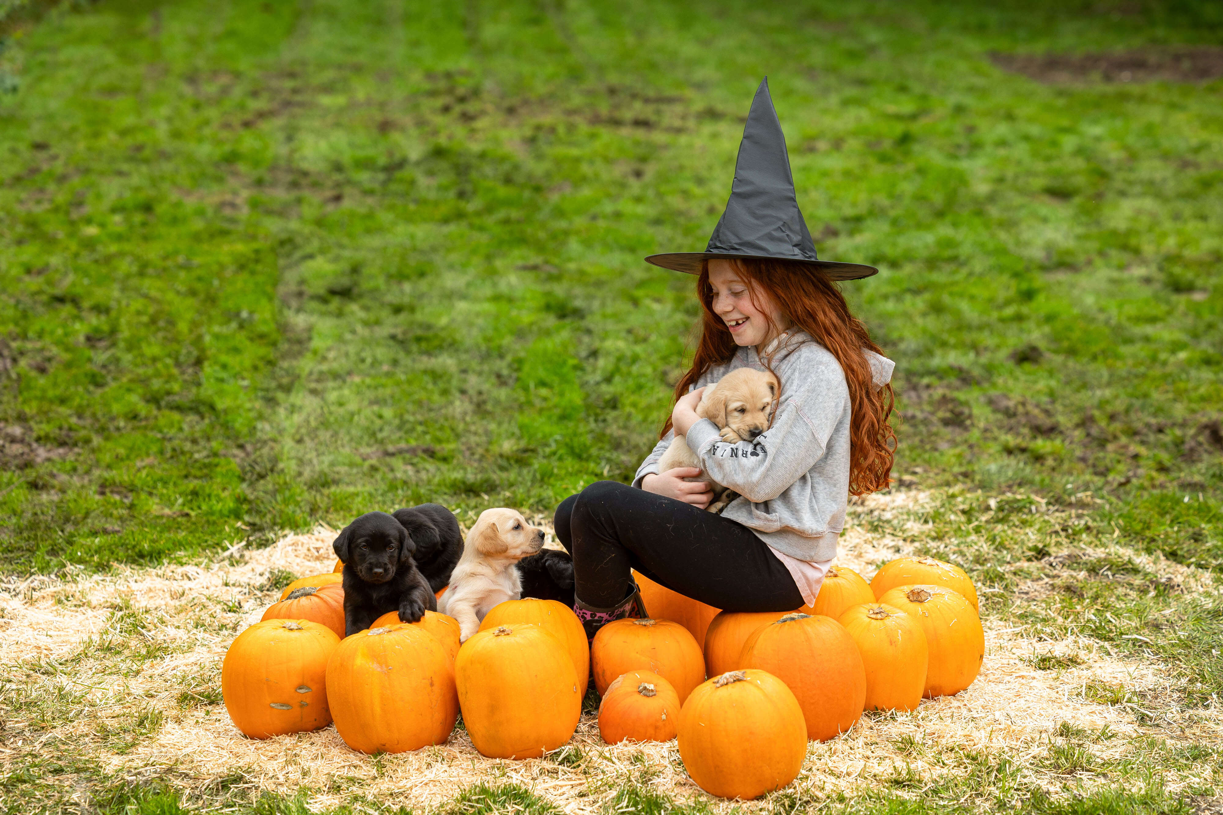 A smiley girl around the age of 8 sits surrounded by pumpkins. She has long red hair and freckles and wears a witch's hat, grey hoody and black leggings. She holds a yellow Labrador puppy, with more puppies sat at her feet.