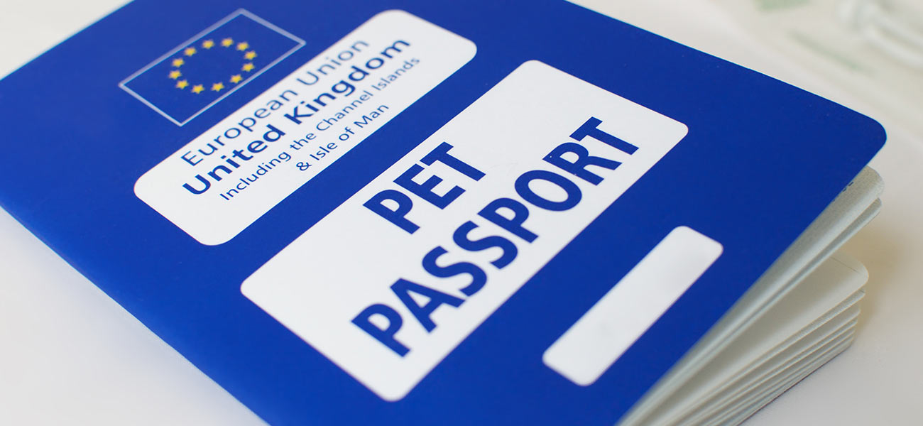 Stock image of a blue EU Pet Passport