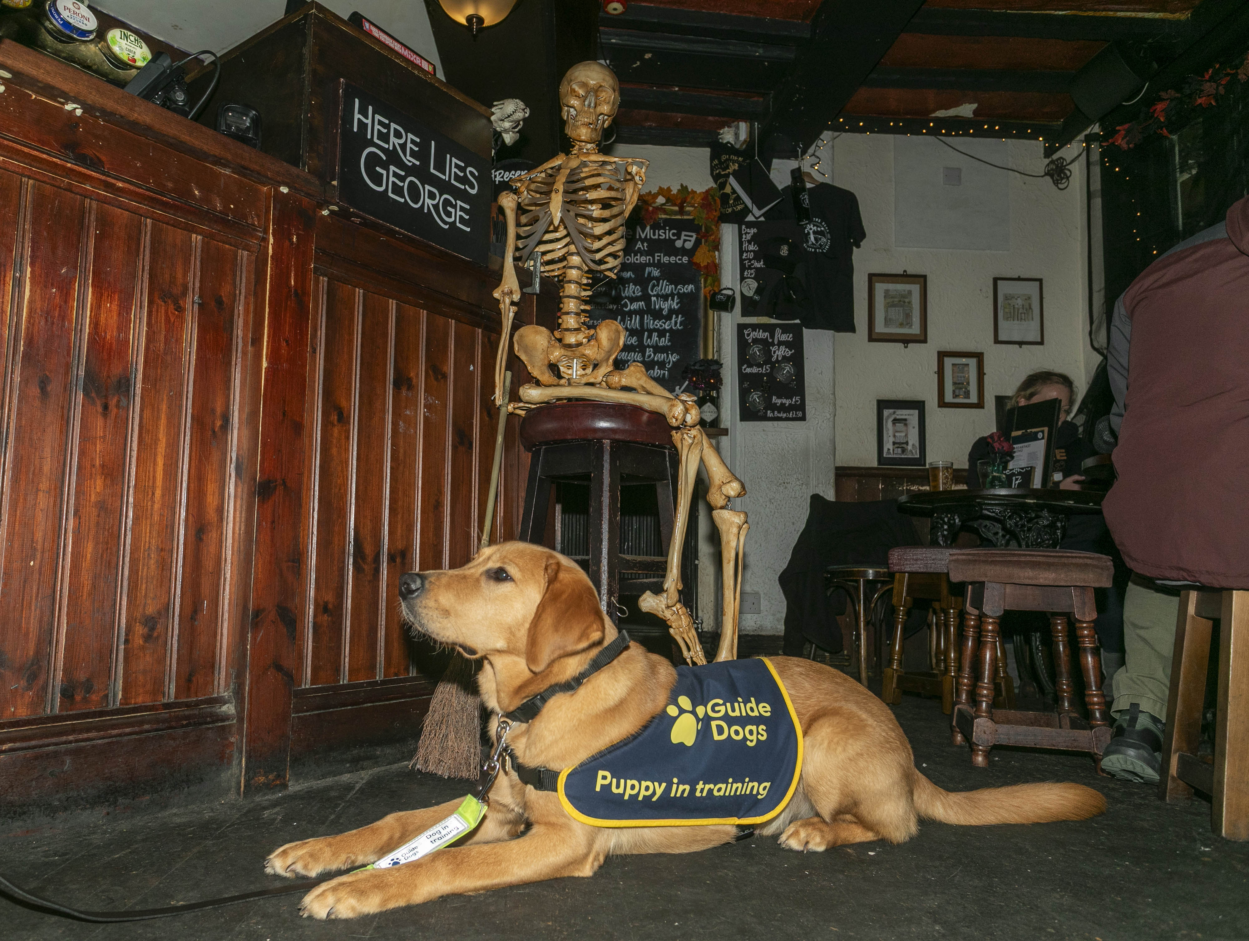 Magic lying down in front of a skeleton in the Golden Fleece - York's most haunted pub