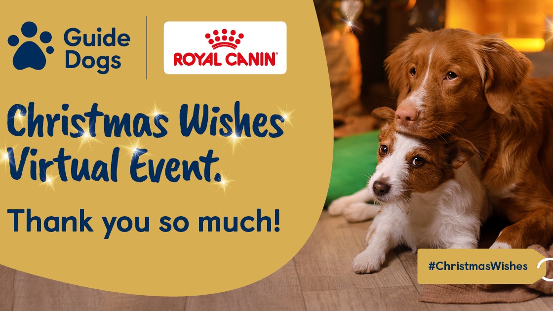 Christmas Wishes Virtual Event, thank you message. With a picture to the right of two dogs lying on top of one another.