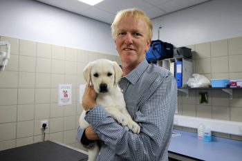 Tim Davies, Chief Veterinary Officer, stands in a vet clinic room. He holds a pale yellow Labrador puppy in his arms and smiles at the camera.