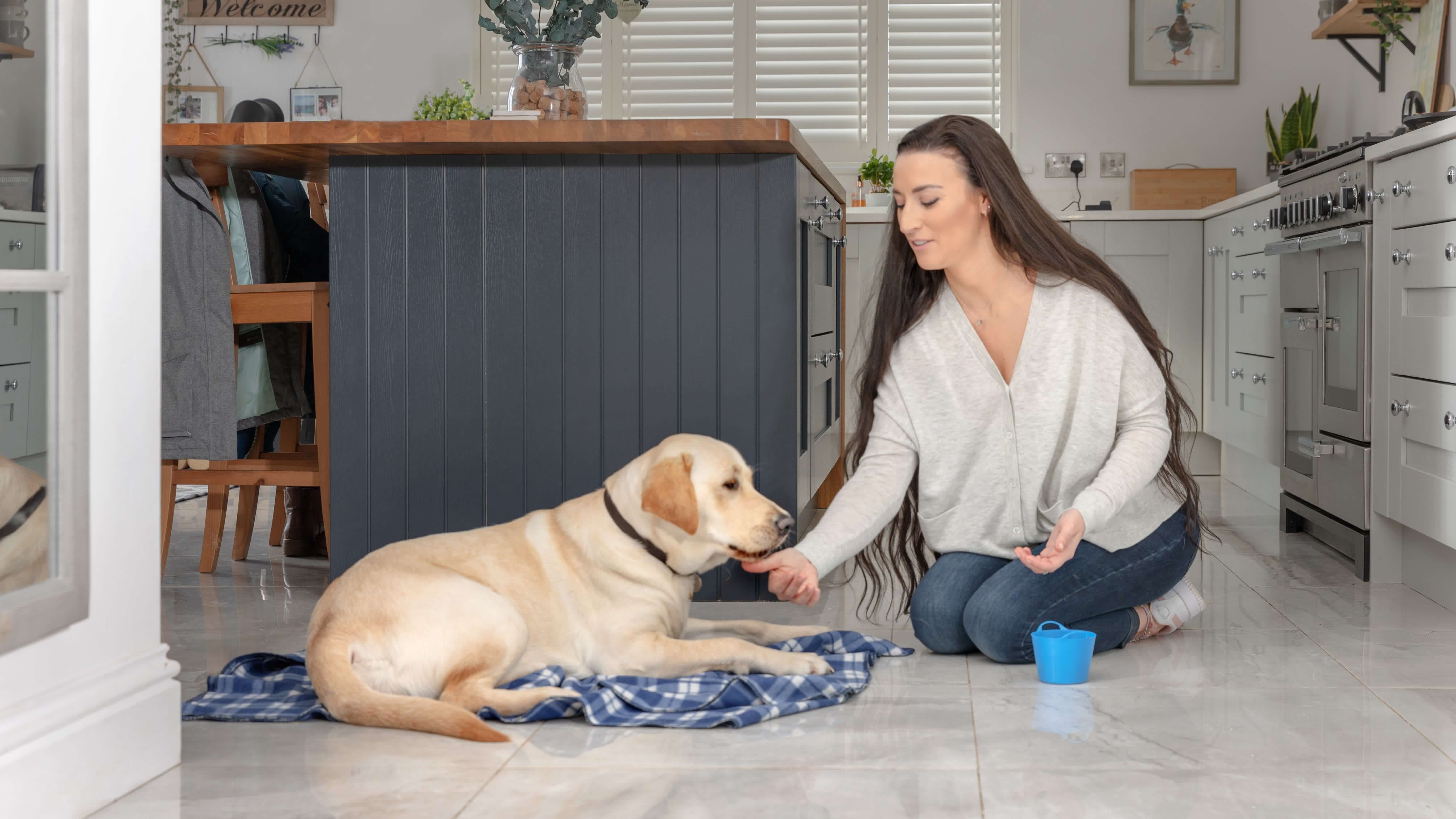 A puppy raiser cares for a yellow guide dog puppy in her kitchen, feeding the dog treats from a small blue bucket while the puppy lies down on a blanket