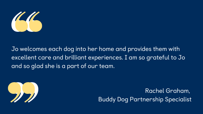 A graphic containing a quote from Buddy Dog Specialist, Rachel Graham, which reads "Jo welcomes each dog into her home and provides them with excellent care and brilliant experiences. I am so grateful to Jo and so glad she is a part of our team." 