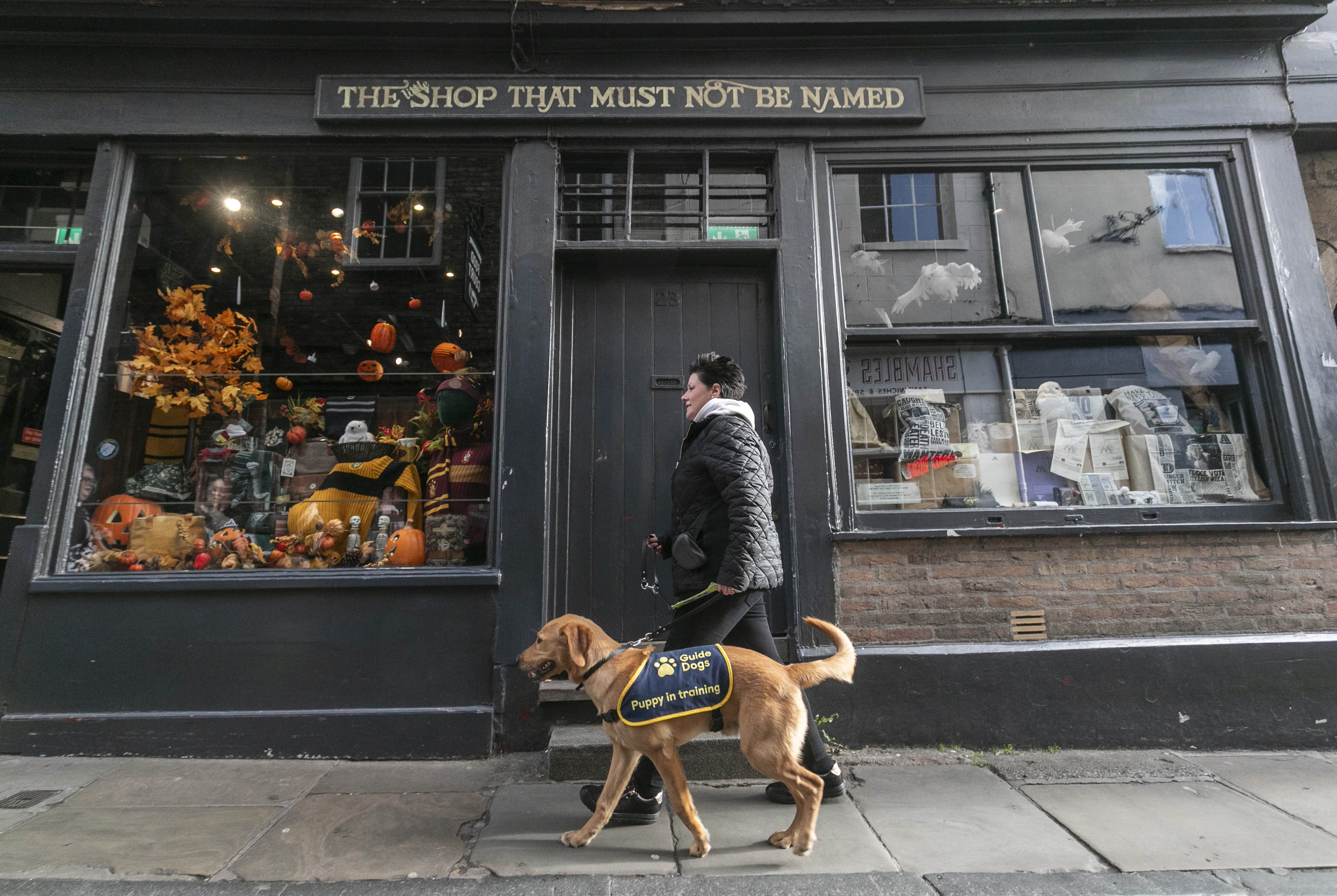 Puppy raiser Nadine strolls past The Shop That Mustn't Be Named with Magic in York