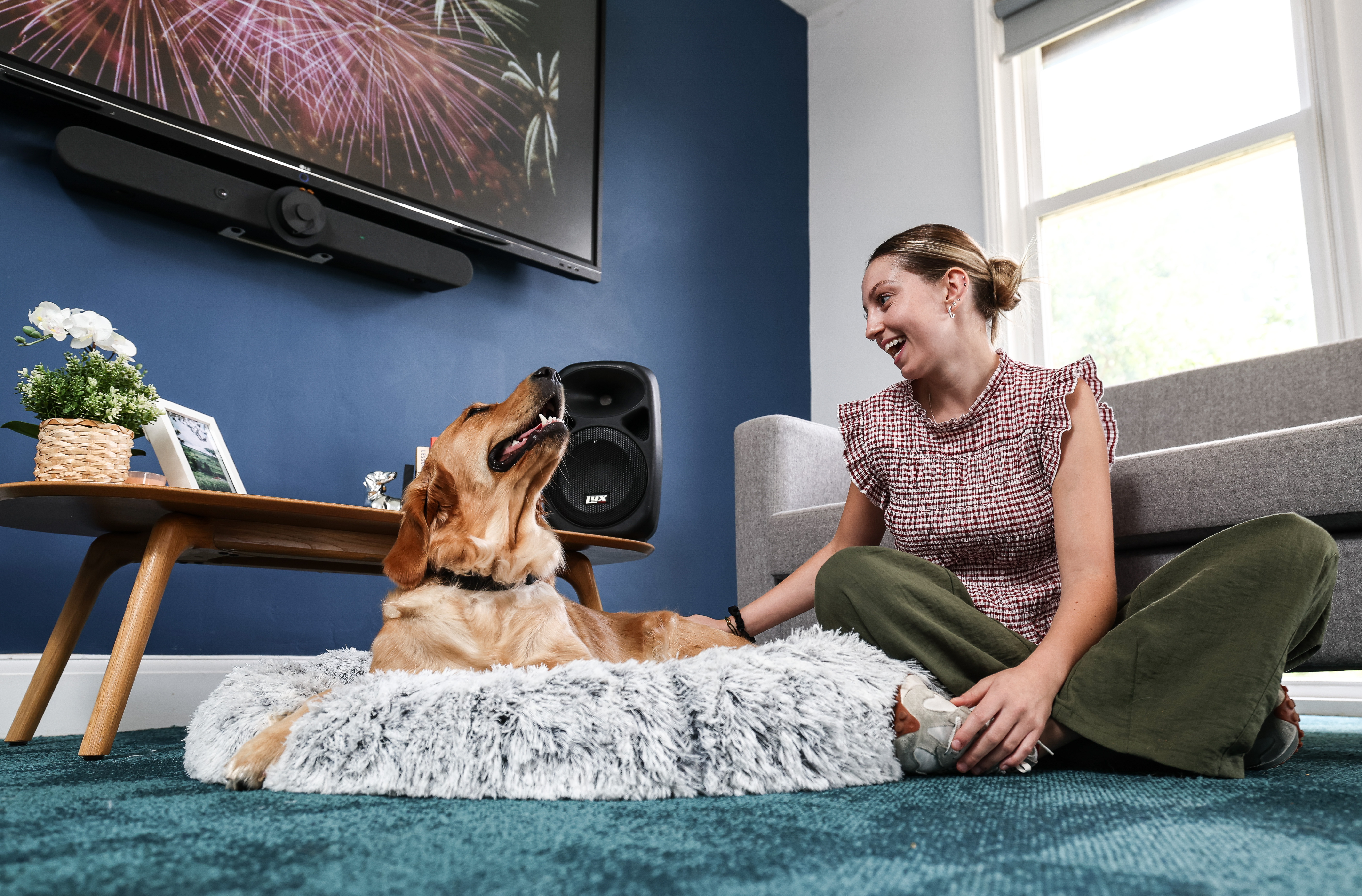 A woman smiling sits on the floor next to a relaxed dog in a bed.