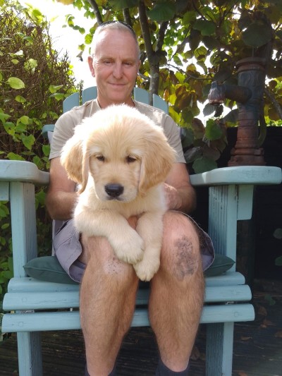 Puppy George sits on a man's lap in a blue garden chair 