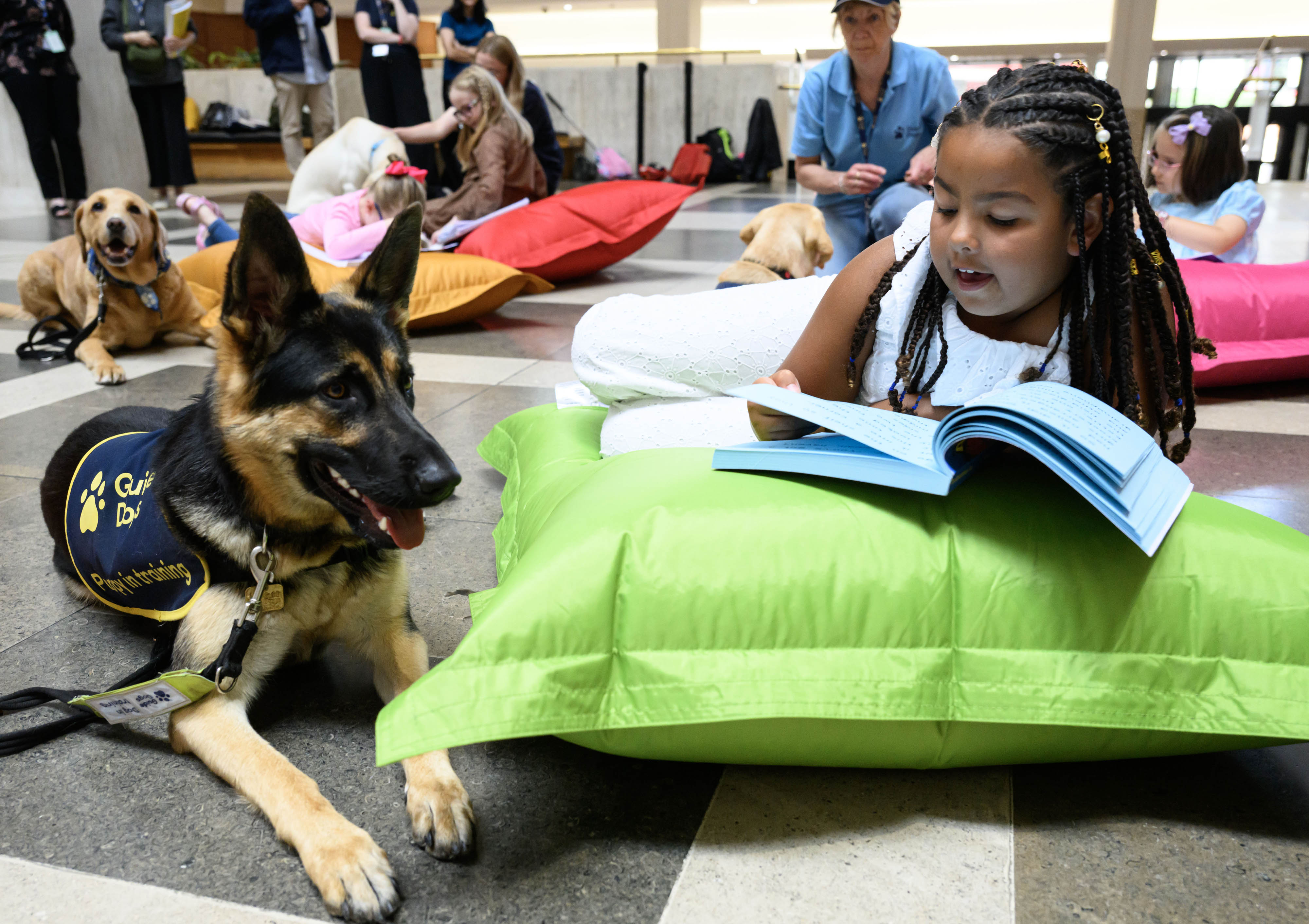 Paisley, aged 7, lies on a green bean bag as she reads to guide dog in training, Sable, a German shepherd, who lies down next to her wearing a Guide Dogs 'puppy in training' jacket. More children are reading to dogs in the background. 