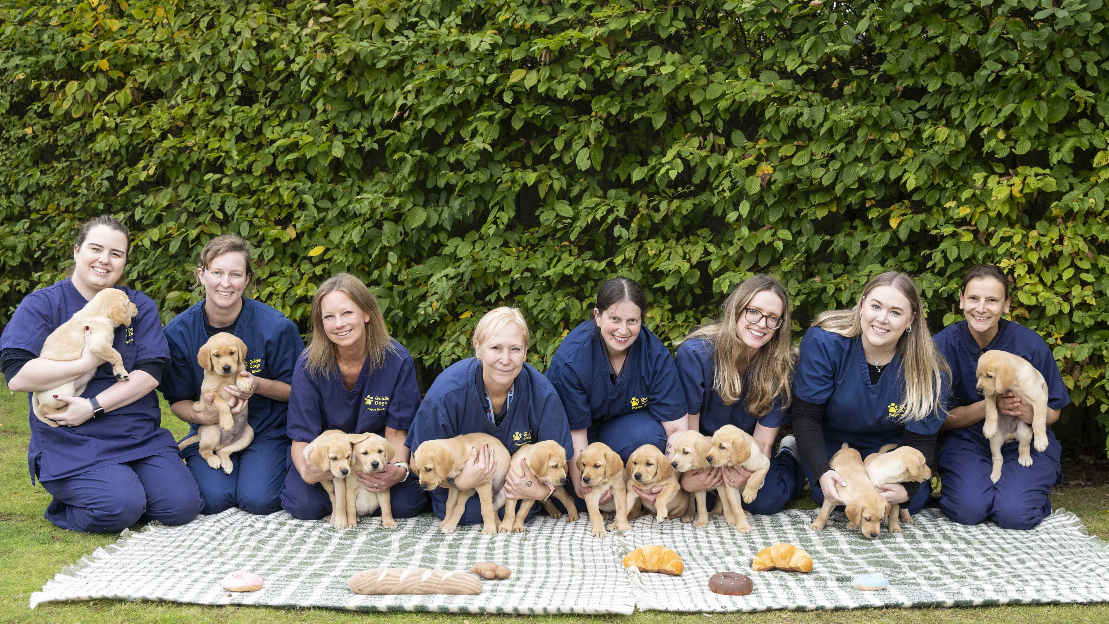 Eight staff members at the National Centre kneel on green checked picnic blankets in a line, holding 13 yellow puppies between them. Bakery soft toys including donuts and croissants lay on the blankets in front of them. 