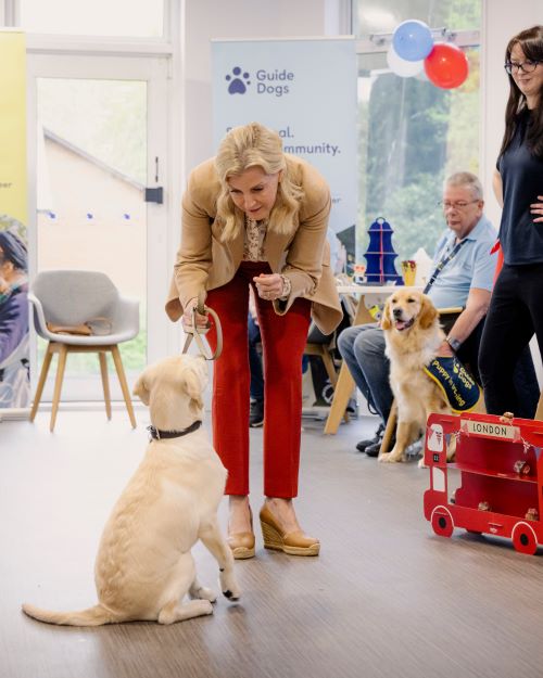 Our patron, the Duchess of Edinburgh, leans towards the camera. She has a yellow labrador puppy on a lead, sitting with his back facing the camera, waiting for a treat.