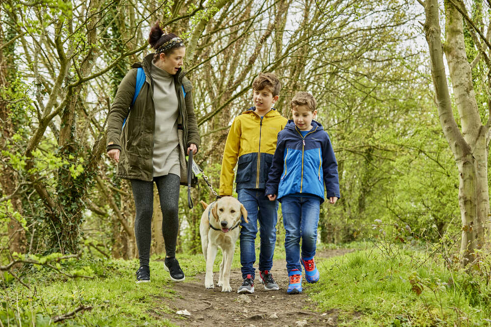 Volunteer puppy raiser Daisy walks in the woods with her two children and puppy Flo