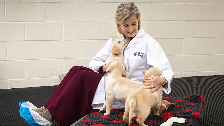 Her Royal Highness The Countess of Wessex with guide dogs