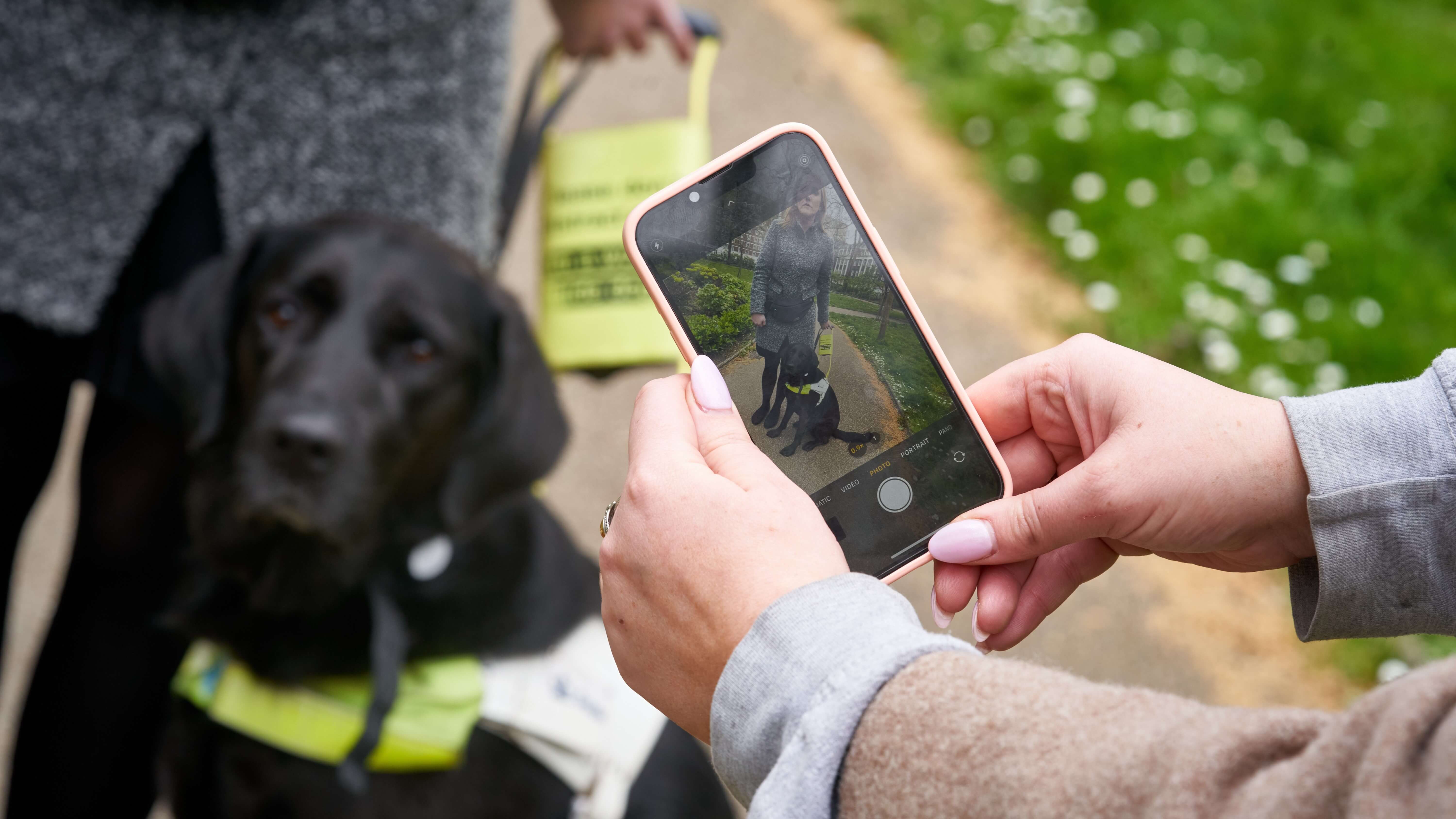 A close-up on a mobile phone being used by a woman to take a picture of a black guide dog. The guide dog and owner are visible on the phone screen.