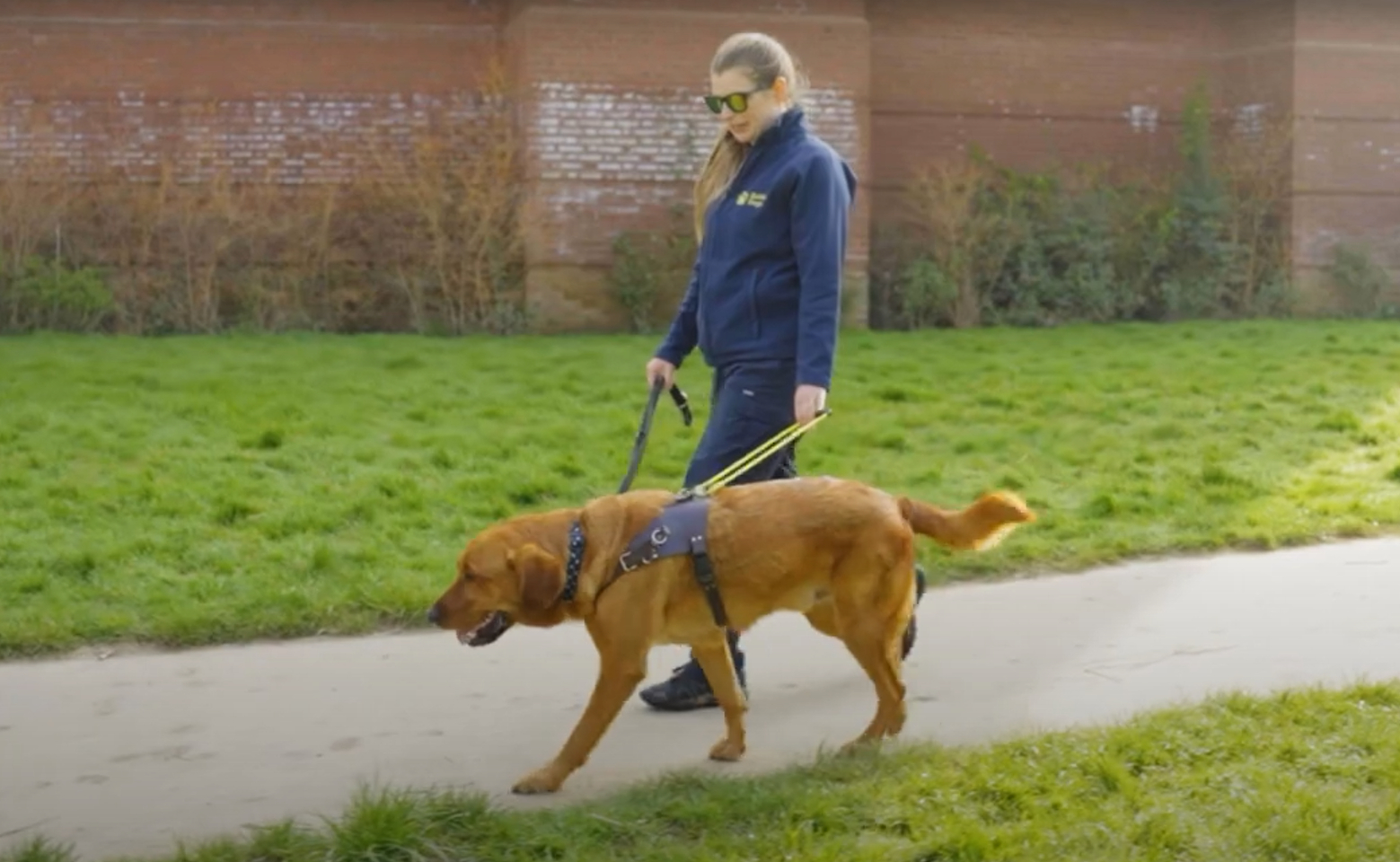 Screen shot from the Recovery in Action video, showing a side view of a Guide Dog Mobility Specialist walking along a path with a guide dog in training.