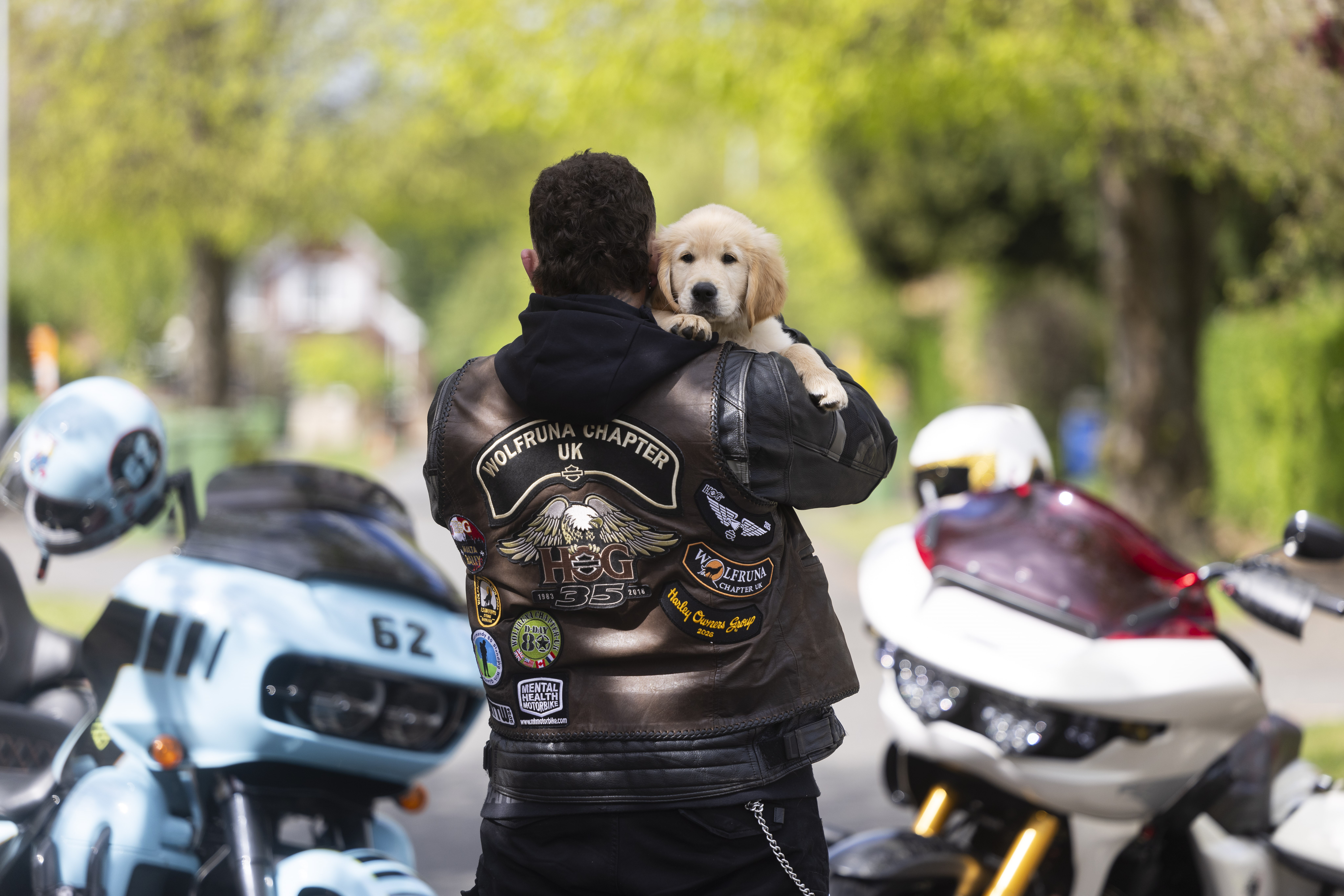 A Harley Davidson motorbiker holds a yellow golden retriever puppy over his shoulder.