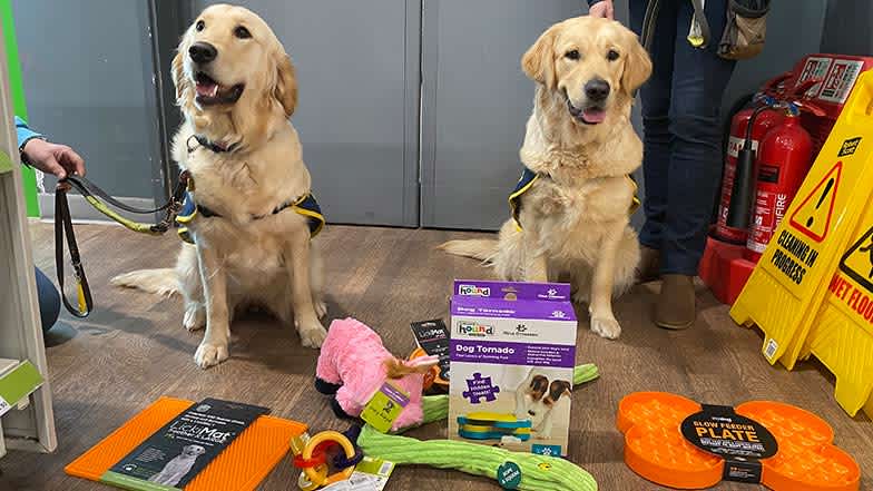 Guide dog puppies in training, Edith and Sophie sat down with a pile of Pets at Home enrichment toys in front of them.