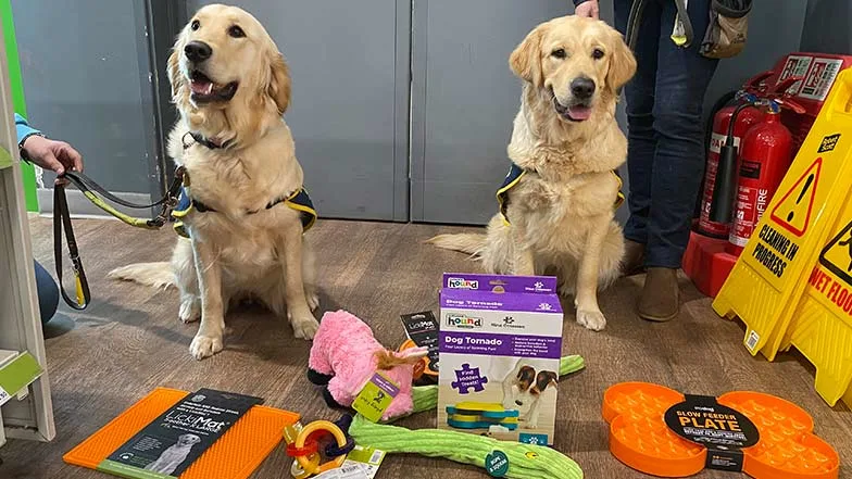 Guide dog puppies in training, Edith and Sophie sat down with a pile of Pets at Home enrichment toys in front of them.