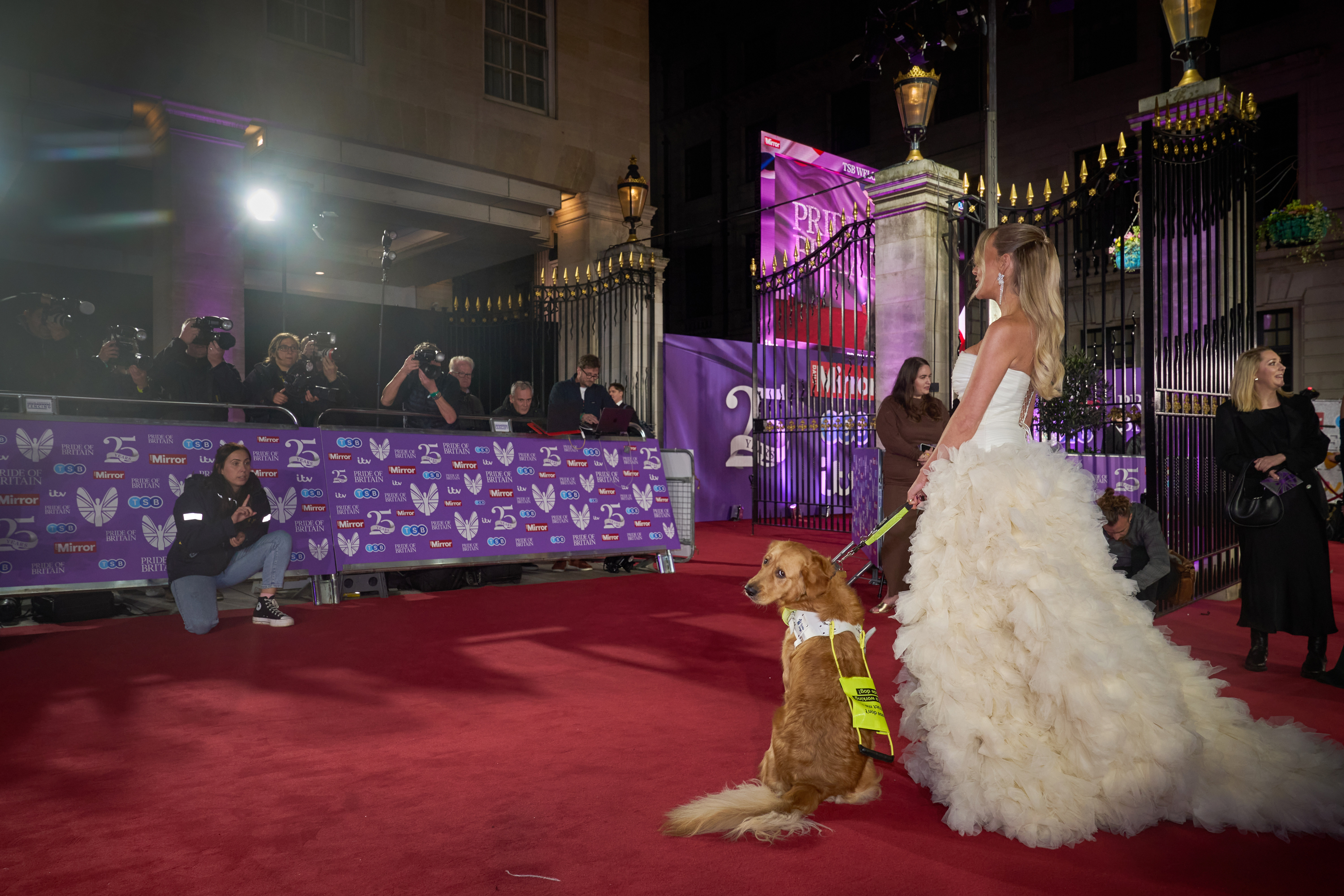 Guide dog Bill sits next to Campaign Star Faye Winter on the Pride of Britain red carpet as she poses for a photographer. Faye is wearing a huge white ballgown.