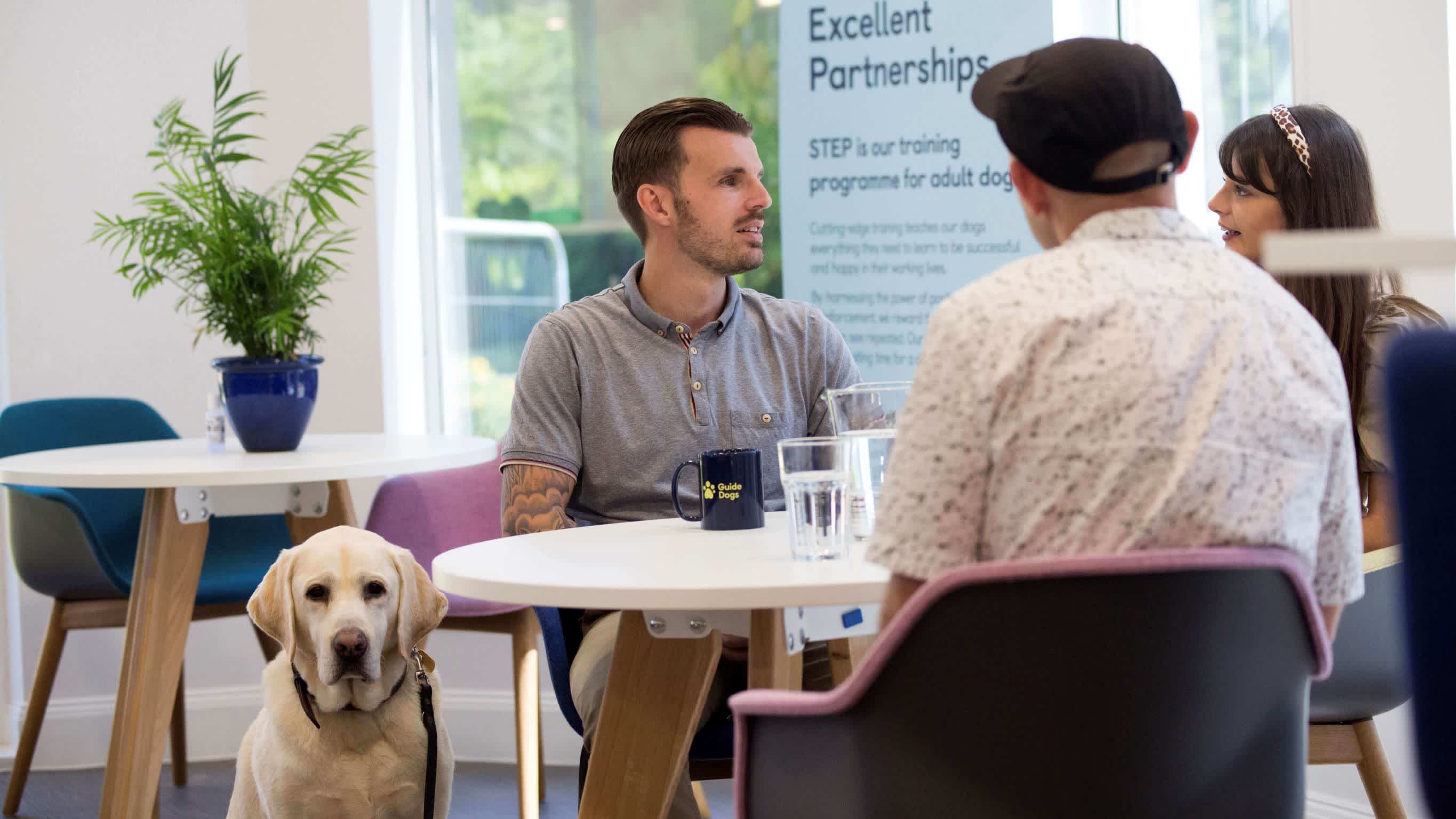 Three colleagues sitting around a table in a Guide Dogs office