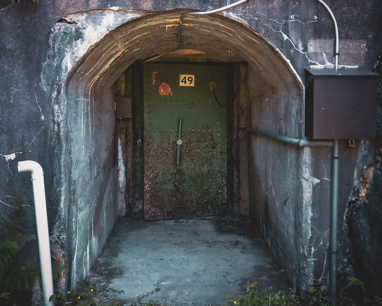 Old Bunker Door at Vallisaari, Finland